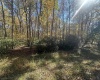 Lot 109 Redwood Drive, Terra Alta, West Virginia 26764, 0 , 0 ,0,Lots/land,For Sale,Redwood,0,10162047
