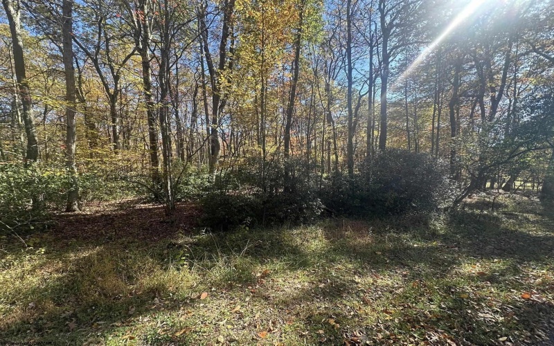 Lot 109 Redwood Drive, Terra Alta, West Virginia 26764, 0 , 0 ,0,Lots/land,For Sale,Redwood,0,10162047