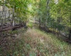 Lot 1 Shamrock Drive, Mayesville, West Virginia 26833, 0 , 0 ,0,Lots/land,For Sale,Shamrock,0,10167489