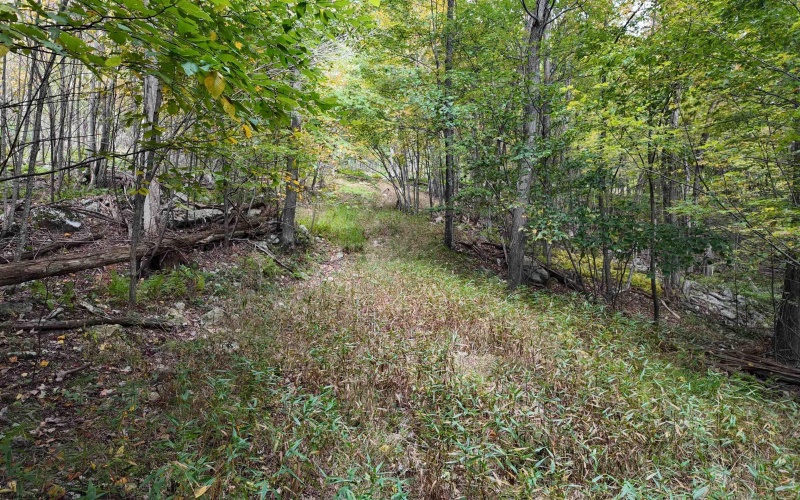Lot 1 Shamrock Drive, Mayesville, West Virginia 26833, 0 , 0 ,0,Lots/land,For Sale,Shamrock,0,10167489
