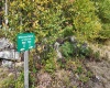Lot 1 Shamrock Drive, Mayesville, West Virginia 26833, 0 , 0 ,0,Lots/land,For Sale,Shamrock,0,10167489