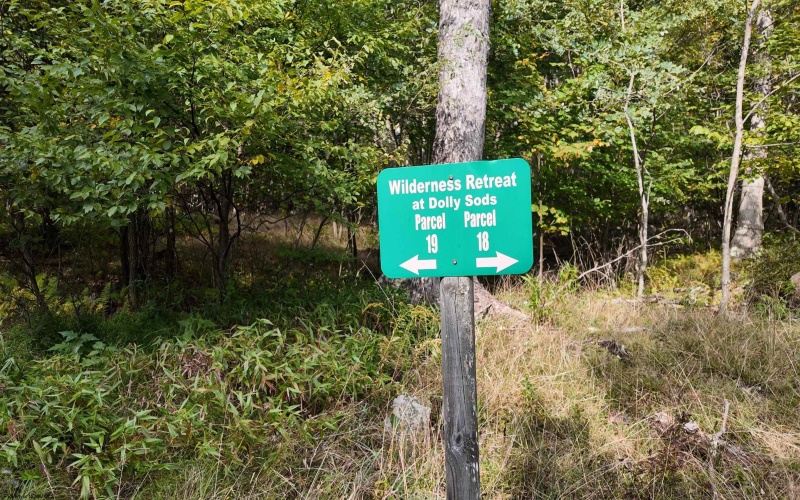 Lot 1 Shamrock Drive, Mayesville, West Virginia 26833, 0 , 0 ,0,Lots/land,For Sale,Shamrock,0,10167489