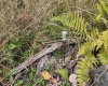 Lot 1 Shamrock Drive, Mayesville, West Virginia 26833, 0 , 0 ,0,Lots/land,For Sale,Shamrock,0,10167489