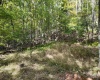 Lot 1 Shamrock Drive, Mayesville, West Virginia 26833, 0 , 0 ,0,Lots/land,For Sale,Shamrock,0,10167489
