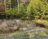 Lot 1 Shamrock Drive, Mayesville, West Virginia 26833, 0 , 0 ,0,Lots/land,For Sale,Shamrock,0,10167489