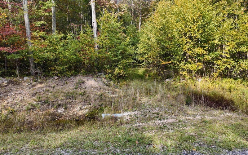 Lot 1 Shamrock Drive, Mayesville, West Virginia 26833, 0 , 0 ,0,Lots/land,For Sale,Shamrock,0,10167489