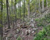 Lot 1 Shamrock Drive, Mayesville, West Virginia 26833, 0 , 0 ,0,Lots/land,For Sale,Shamrock,0,10167489