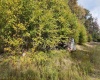 Lot 1 Shamrock Drive, Mayesville, West Virginia 26833, 0 , 0 ,0,Lots/land,For Sale,Shamrock,0,10167489