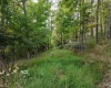 Lot 1 Shamrock Drive, Mayesville, West Virginia 26833, 0 , 0 ,0,Lots/land,For Sale,Shamrock,0,10167489