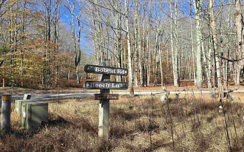 Lot 53 Bobcat Road, Davis, West Virginia 26260, 0 , 0 ,0,Lots/land,For Sale,Bobcat,0,10167491