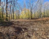 Lot 53 Bobcat Road, Davis, West Virginia 26260, 0 , 0 ,0,Lots/land,For Sale,Bobcat,0,10167491