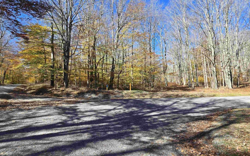 Lot 53 Bobcat Road, Davis, West Virginia 26260, 0 , 0 ,0,Lots/land,For Sale,Bobcat,0,10167491