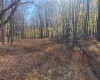 Lot 53 Bobcat Road, Davis, West Virginia 26260, 0 , 0 ,0,Lots/land,For Sale,Bobcat,0,10167491