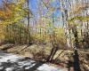 Lot 53 Bobcat Road, Davis, West Virginia 26260, 0 , 0 ,0,Lots/land,For Sale,Bobcat,0,10167491