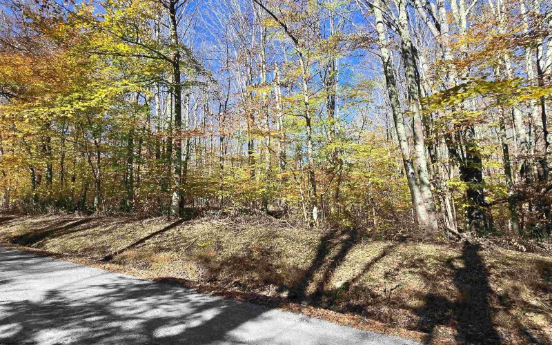 Lot 53 Bobcat Road, Davis, West Virginia 26260, 0 , 0 ,0,Lots/land,For Sale,Bobcat,0,10167491