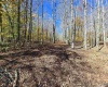 Lot 53 Bobcat Road, Davis, West Virginia 26260, 0 , 0 ,0,Lots/land,For Sale,Bobcat,0,10167491