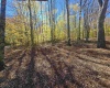 Lot 53 Bobcat Road, Davis, West Virginia 26260, 0 , 0 ,0,Lots/land,For Sale,Bobcat,0,10167491