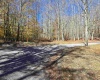 Lot 53 Bobcat Road, Davis, West Virginia 26260, 0 , 0 ,0,Lots/land,For Sale,Bobcat,0,10167491