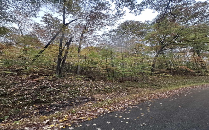 TBD Coon Creek Road, Camden on Gauley, West Virginia 26208-0001, 0 , 0 ,0,Lots/land,For Sale,Coon Creek,0,10167508