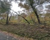 TBD Coon Creek Road, Camden on Gauley, West Virginia 26208-0001, 0 , 0 ,0,Lots/land,For Sale,Coon Creek,0,10167508