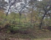 TBD Coon Creek Road, Camden on Gauley, West Virginia 26208-0001, 0 , 0 ,0,Lots/land,For Sale,Coon Creek,0,10167508