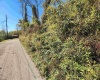 TBD Warner Street, Clarksburg, West Virginia 26301, 0 , 0 ,0,Lots/land,For Sale,Warner,0,10167503