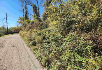 TBD Warner Street, Clarksburg, West Virginia 26301, 0 , 0 ,0,Lots/land,For Sale,Warner,0,10167503