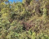 TBD Warner Street, Clarksburg, West Virginia 26301, 0 , 0 ,0,Lots/land,For Sale,Warner,0,10167503