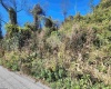 TBD Warner Street, Clarksburg, West Virginia 26301, 0 , 0 ,0,Lots/land,For Sale,Warner,0,10167503
