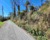 TBD Warner Street, Clarksburg, West Virginia 26301, 0 , 0 ,0,Lots/land,For Sale,Warner,0,10167503