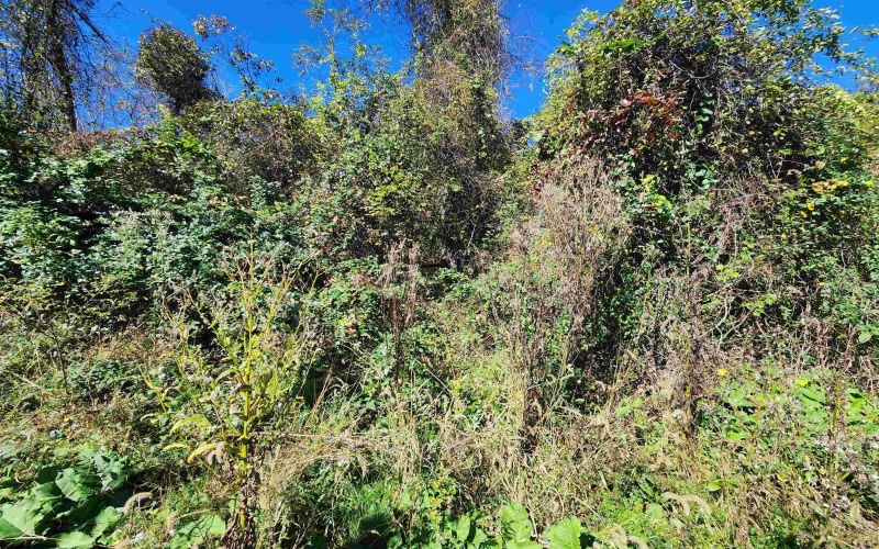 TBD Warner Street, Clarksburg, West Virginia 26301, 0 , 0 ,0,Lots/land,For Sale,Warner,0,10167503