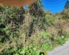 TBD Warner Street, Clarksburg, West Virginia 26301, 0 , 0 ,0,Lots/land,For Sale,Warner,0,10167503