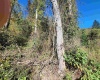 TBD Warner Street, Clarksburg, West Virginia 26301, 0 , 0 ,0,Lots/land,For Sale,Warner,0,10167503