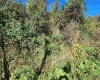 TBD Warner Street, Clarksburg, West Virginia 26301, 0 , 0 ,0,Lots/land,For Sale,Warner,0,10167503