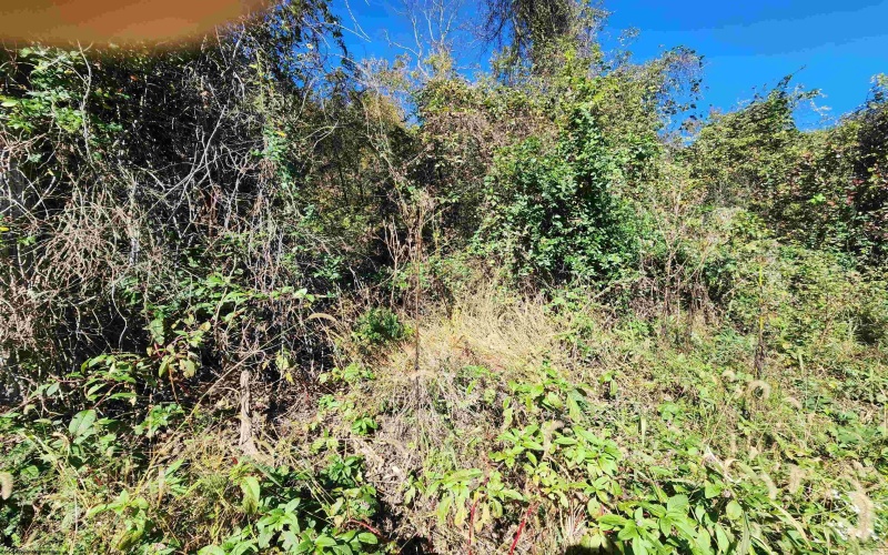 TBD Warner Street, Clarksburg, West Virginia 26301, 0 , 0 ,0,Lots/land,For Sale,Warner,0,10167503