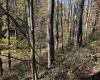 TBD Clemtown Road, Philippi, West Virginia 26416, 0 , 0 ,0,Lots/land,For Sale,Clemtown,0,10167501