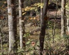 TBD Clemtown Road, Philippi, West Virginia 26416, 0 , 0 ,0,Lots/land,For Sale,Clemtown,0,10167501