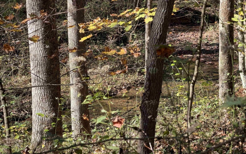 TBD Clemtown Road, Philippi, West Virginia 26416, 0 , 0 ,0,Lots/land,For Sale,Clemtown,0,10167501
