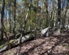 TBD Clemtown Road, Philippi, West Virginia 26416, 0 , 0 ,0,Lots/land,For Sale,Clemtown,0,10167501