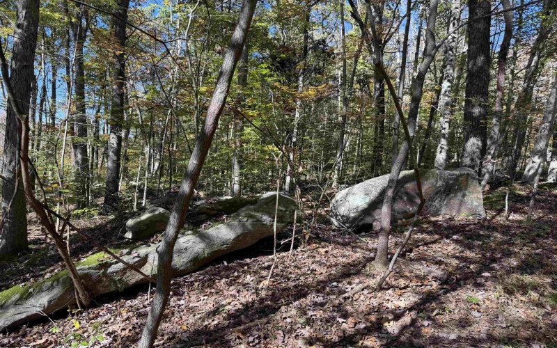TBD Clemtown Road, Philippi, West Virginia 26416, 0 , 0 ,0,Lots/land,For Sale,Clemtown,0,10167501