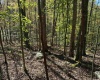 TBD Clemtown Road, Philippi, West Virginia 26416, 0 , 0 ,0,Lots/land,For Sale,Clemtown,0,10167501