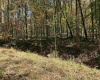 TBD Clemtown Road, Philippi, West Virginia 26416, 0 , 0 ,0,Lots/land,For Sale,Clemtown,0,10167501