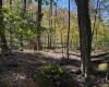 TBD Clemtown Road, Philippi, West Virginia 26416, 0 , 0 ,0,Lots/land,For Sale,Clemtown,0,10167501