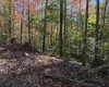 TBD Clemtown Road, Philippi, West Virginia 26416, 0 , 0 ,0,Lots/land,For Sale,Clemtown,0,10167501