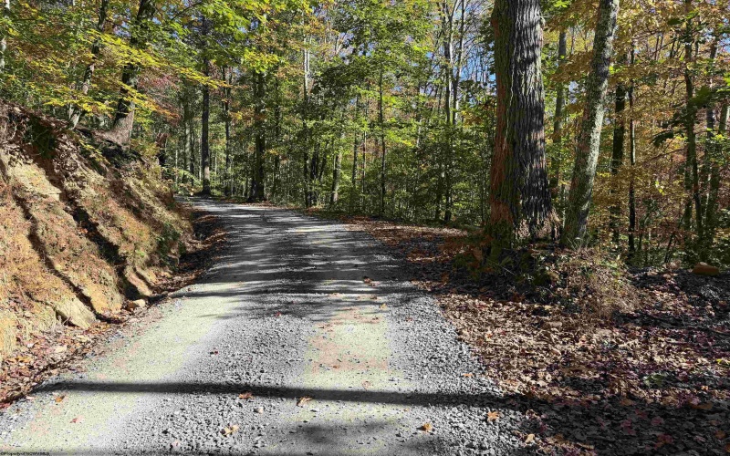 TBD Clemtown Road, Philippi, West Virginia 26416, 0 , 0 ,0,Lots/land,For Sale,Clemtown,0,10167501