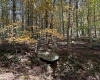 TBD Clemtown Road, Philippi, West Virginia 26416, 0 , 0 ,0,Lots/land,For Sale,Clemtown,0,10167501