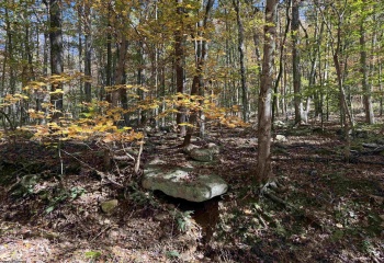 TBD Clemtown Road, Philippi, West Virginia 26416, 0 , 0 ,0,Lots/land,For Sale,Clemtown,0,10167501