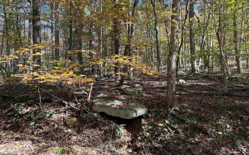 TBD Clemtown Road, Philippi, West Virginia 26416, 0 , 0 ,0,Lots/land,For Sale,Clemtown,0,10167501