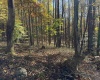 TBD Clemtown Road, Philippi, West Virginia 26416, 0 , 0 ,0,Lots/land,For Sale,Clemtown,0,10167501