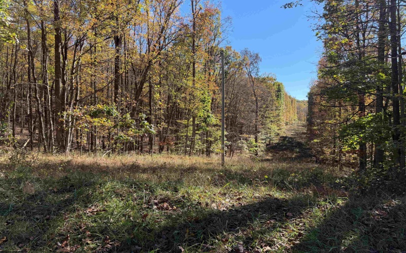 TBD Clemtown Road, Philippi, West Virginia 26416, 0 , 0 ,0,Lots/land,For Sale,Clemtown,0,10167501